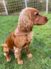 Load image into Gallery viewer, Barkby Wax cotton dog Bandana - collar fasten