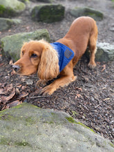 Load image into Gallery viewer, Barkby Wax cotton dog Bandana - tie fasten
